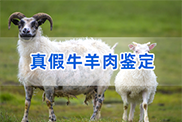 莆田羊类动物鉴定